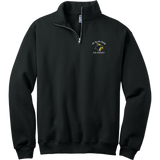 Delaware Jr. Blue Hens NuBlend 1/4-Zip Cadet Collar Sweatshirt