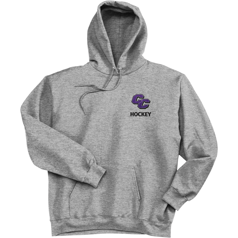 Curry College Ultimate Cotton - Pullover Hooded Sweatshirt